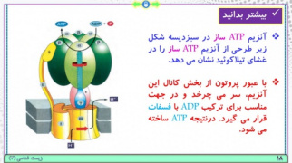 پاورپوینت گفتار 2 زیست شناسی پایه دوازدهم تجربی: واکنش‌های فتوسنتزی (فصل 6: از انرژی به ماده) ( 31 اسلاید)