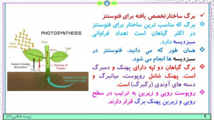 پاورپوینت گفتار 1 زیست شناسی پایه دوازدهم تجربی: فتوسنتزتبدیل انرژی نور به انرژی شیمیایی (فصل 6: از انرژی به ماده) ( 29 اسلاید)