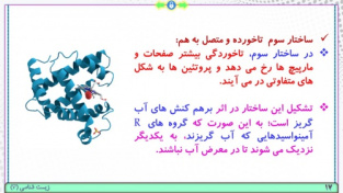 پاورپوینت گفتار 3 زیست شناسی پایه دوازدهم تجربی: پروتئین‌ها (فصل 1: مولکول های اطلاعاتی) ( 43 اسلاید)