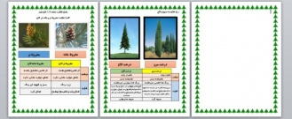 پاسخ فعالیت صفحه 128 علوم نهم