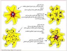 سازمان فضایی و ساختار فضایی