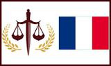 فایل بررسی تحليلي بر شوراي قانون اساسي فرانسه