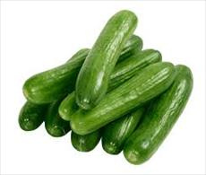 تحقیق درباره خیار (Cucumis sativus)