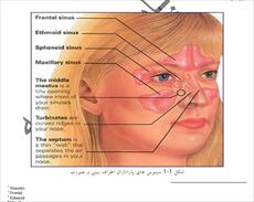 فایل کامل رشته ی زیست شناسی