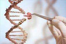 پاورپوینت Studying and Manipulating Genomes مطالعه و دستکاری ژنوم