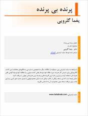 دانلود رایگان کتاب پرنده بی پرنده با فرمت pdf