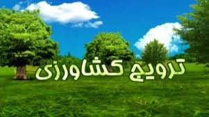 مقاله ترجمه شده الگو ارتباطی و تعارض در ترویج کشاورزی