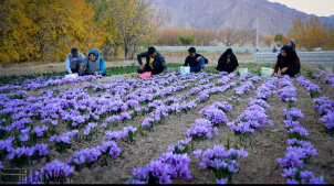 معرفی روستای ییلاقی کرندkorond (دیار لاله های دو رنگ)