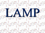 پاورپوینت ارزیابی روش LAMP در تشخیص پنبه تراریخته