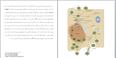 تحقیق اورتوپاکس انسانی و حیوانی