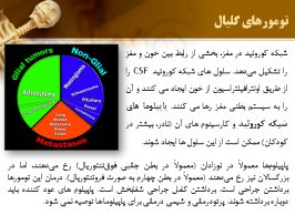 پاورپوینت تومورهای مغز (All about Brain Tumors)