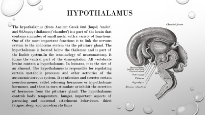 پاورپوینت غده هیپوتالاموس