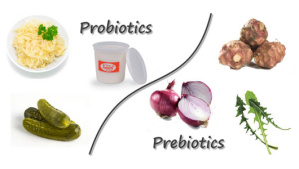 دانلود پاورپوینت با موضوع پروبیوتیک ها و پری بیوتیک ها