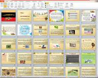 پاورپوینت و اسلاید درمورد مورچه