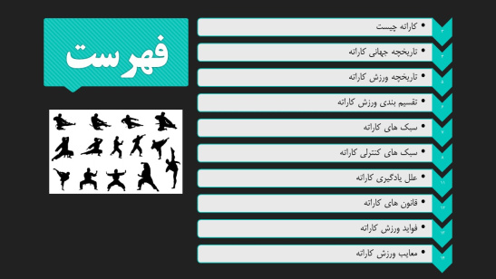 دانلود پاورپوینت کاراته