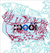 شیپ فایل آبراهه های شهرستان سبزوار