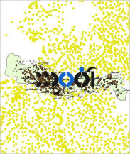 شیپ فایل روستاهای شهرستان میاندواب