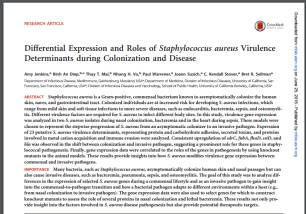ترجمه مقاله بیان متمایز و نقش ژن های موثر درشدت بیماری زایی باکتری استافیلوکوکوس اورئوس