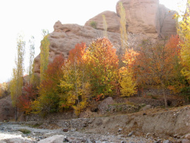 تحقیق روستای بوژان نیشابور