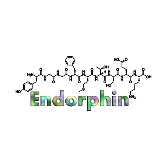 پاورپوینت معرفی نرم افزار Endorphin