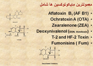 پاورپوینت اهمیت و کاربرد مایکوتوکسین بایندر در صنعت دامپروری