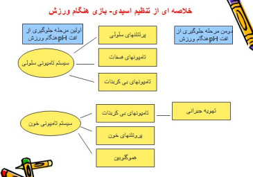 پاورپوینت تعادل اسیدی - بازی هنگام ورزش