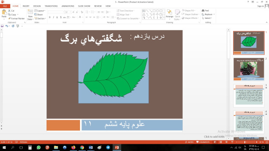 پاورپوینت درس یازدهم علوم مقطع ششم ابتدایی شگفتي‌هاي برگ