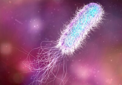 پاورپوینت مسمومیت های غذایی ناشی از باکتری