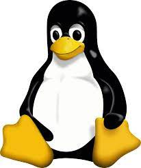 پاورپوینت LINUX به همراه ورد