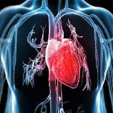 پاورپوینت فیزیولوژی قلب و دستگاه گردش خون