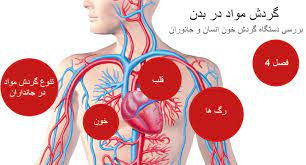 پاورپوینت فصل چهارم گردش مواد در بدن