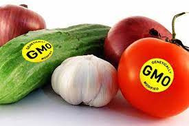 پاورپوینت آشنایی با محصولات تراریخته (GMO)