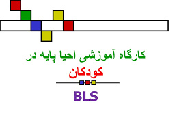 پاورپوینت کارگاه آموزشی احیا پایه در کودکان PBLS