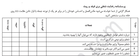 پرسشنامه رضايت شغلي بريفیلد وروث