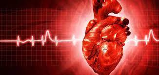 پاورپوینت اپیدمیولوژی بیماری های قلبی عروقی