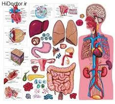 پاورپوینت جزوه فيزيولوژي اعصاب و غدد ( عمومي )