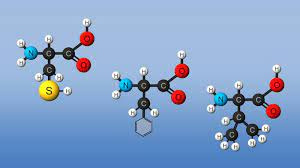 پاورپوینت AMINO ACIDSMETABOLISM DISORDERS اختلالات متابولیسم اسیدهای آمینه