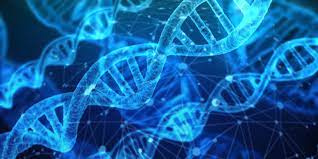 تحقیق ساخت نانو ساختارهاي سه بعدي از DNA
