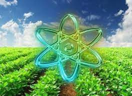 تحقیق فناوری هسته ای ابزار مهم در پژوهش های کشاورزی