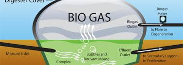 جزوه شرح مراحل ساخت یک نمونه دستگاه تولید بیوگاز و آزمایش آن با کود حیوانی