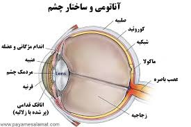 پاورپوینت ساختمان چشم انسان