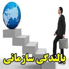 پاورپوینت بالندگی سازمانی