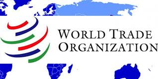 تحقیق ده فایده سازمان تجارت جهانی