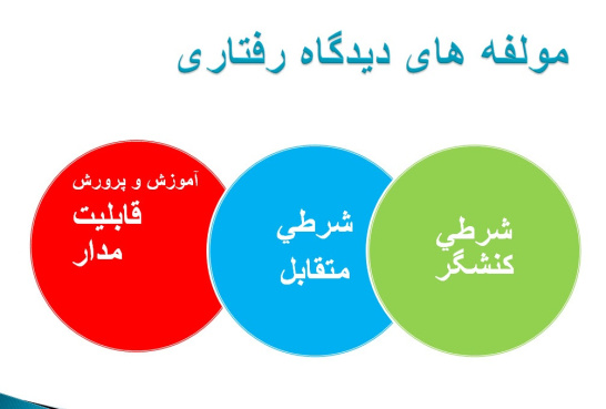 پاورپوینت بررسی دیدگاه رفتاری در نظریه های برنامه ریزی درسی