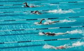 پاورپوینت در مورد ورزش شنا