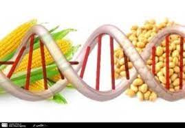 پاورپوینت آشنایی با محصولات تراریخته (GMO)
