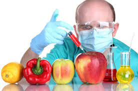پاورپوینت محصولات دستکاری شده ژنتیک و سلامت (GMOs)