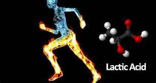 پاورپوینت اسید لاکتیک و کاربرد آن در ورزش