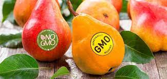 پاورپوینت آشنایی با محصولات تراریخته GMO