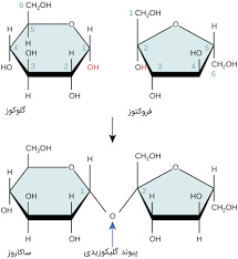 پاورپوینت ساختمان كربوهيدرات ها
